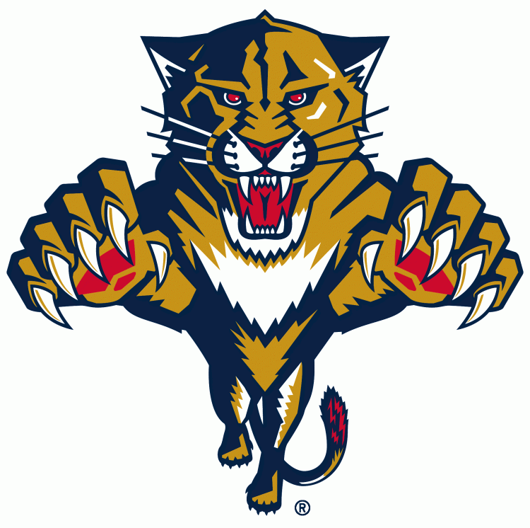 Florida Panthers 1999 00-2015 16 Primary Logo iron on paper